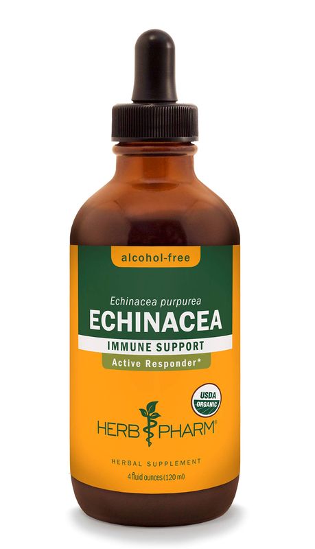 Herb Pharm Certified Organic Echinacea Root Liquid Extract for Immune System Support, Alcohol-Free Glycerite, 4 Ounce