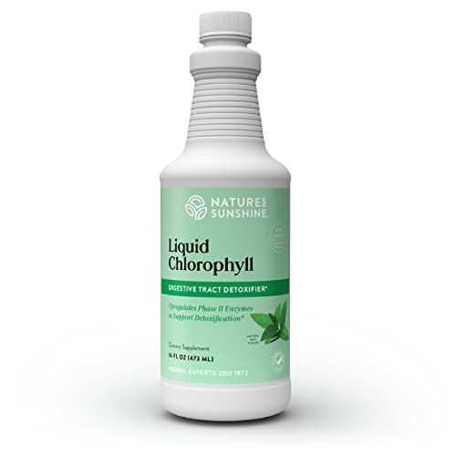 Nature's Sunshine Liquid Chlorophyll - Immunity Support, Detox &amp; Cleanse, Chlorophyll Liquid Drops with Spearmint Oil, Natural Energy Boost, Internal Deodorant - 16 Fl Oz