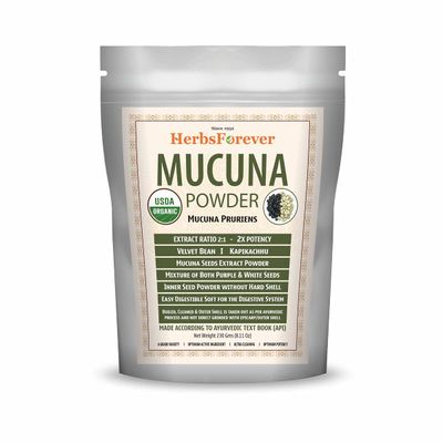 Herbsforever Mucuna Pruriens Seeds Powder  Kapikachhu  Velvet Bean  Helps to Maintain Physical &amp; Mental Strength and Nerves Health  Non GMO, Vegan  230 GMS