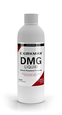 Kirkman - DMG (Dimethylglycine) Liquid -- 480 ml-16 oz Liquid -- Free of Common allergens -- Gluten-Casein Free -- Tested for More Than 950 Environmental Contaminants