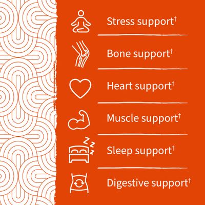 Garden of Life Dr Formulated Magnesium Citrate Supplement with Prebiotics & Probiotics for Stress, Sleep & Recovery - Vegan, Gluten Free, Kosher, Non-GMO, No Added Sugars - 60 Gummies