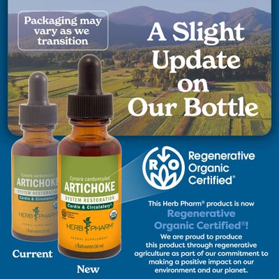 Herb Pharm Certified Organic Artichoke Liquid Extract for Cardiovascular and Circulatory Support - 1 Ounce