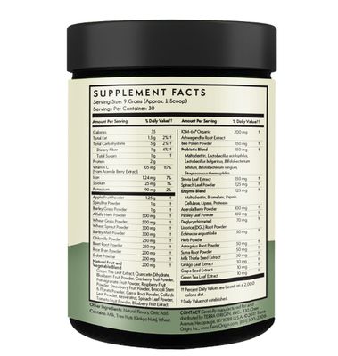 TERRA ORIGIN Superfoods Greens for Immune Defense and Digestive Support | with Spirulina, Probiotics, Organic Vegetables, Digestive Enzymes | Non-GMO | 30 Servings | Mint Flavor