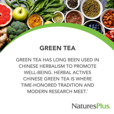 Natures Plus Herbal Actives Chinese Green Tea, Extended Release - 750 mg - Overall Well-Being - 30 Vegetarian Tablets (30 Servings)
