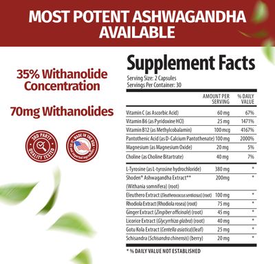 1 Body Ashwagandha Complex with Shoden - Clinically Supported Stress Relief, Sleep, and Energy Support - Vegan, Non-GMO Ashwagandha Supplements - 60 Ashwagandha Capsules