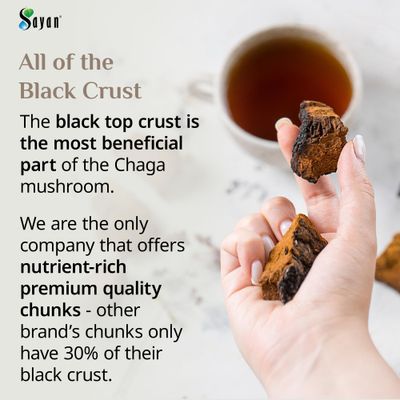 Sayan Siberian Pure Raw Chaga Mushroom Chunks with Black Top Crust 16 Oz / 1 lb - Premium Wild-Harvested Antioxidant Tea for Immune Support, Focus and Digestive Health - Non-GMO