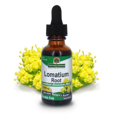 Natures Answer Lomatium Root Extract Lomatium Dissectum - Natural Herbal Supplement - Gluten Alcohol-Free - Ideal for Immunity Overall Health Wellbeing - 500mg (1 FL Oz)