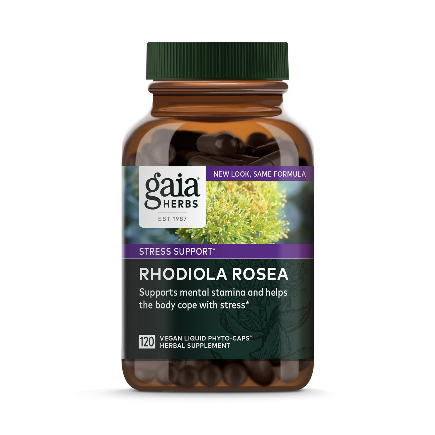 Gaia Herbs Rhodiola Rosea - Stress Support Supplement Traditionally for Supporting Healthy Stamina and Endurance - With Siberian Rhodiola Root Extract - 120 Vegan Liquid Phyto-Capsules (60-Day Supply)