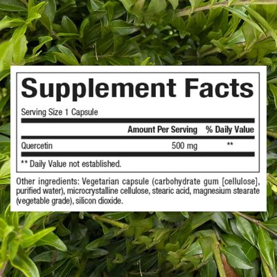 Natural Factors Quercetin 500 mg for Immune Support, 60 Capsules