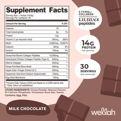 Wellah The Afterglow Multi Collagen Protein + Beauty (30 Servings, Chocolate) - Hair, Skin, Nail &amp; Joint Support - Non-GMO &amp; Gluten Free