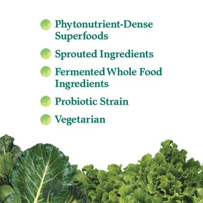 Garden of Life Perfect Food Super Green Formula - 30 Servings | 45 Superfoods, Greens, Fruit &amp; Veggie Juice Superfood Powder Supplement, Probiotics &amp; Organic Spirulina for Digestion &amp; Immune Health