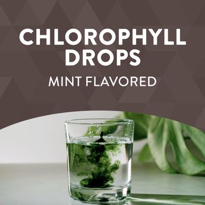 Nature's Way Chlorofresh, Liquid Chlorophyll Concentrate Drops, Internal Deodorant*, Supports Detoxification Pathways*, Mint Flavored, 2 Fl. Oz.