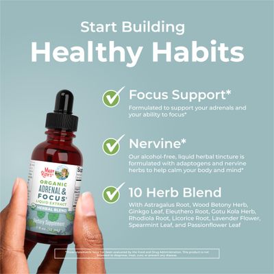 USDA Organic Nootropic Focus Supplement with Ginkgo Biloba - Brain, Memory and Adrenal Support