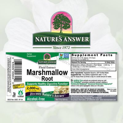 Nature's Answer Alcohol-Free Marshmallow Root Extract, 1-Fluid Ounce | Digestive Support