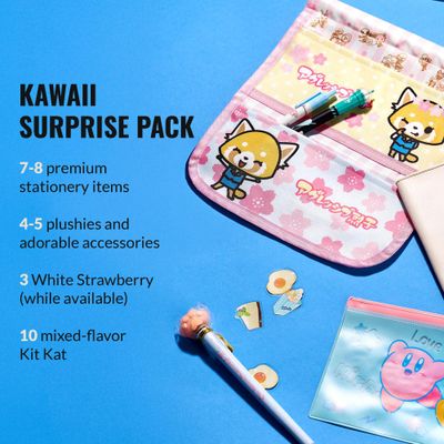 Japan Crate Holiday Gift Pack - 20+ Piece Gift Box for Girls, Mystery Holiday Gift Package for Kids, Includes Kawaii Accessories, Plushies, Stationery Items,Chocolates, Japanese Candies, and More!