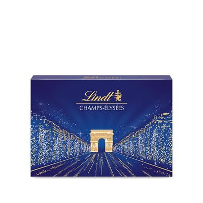 Lindt Champs Elyses Chocolate Box Gourmet Milk and Dark Chocolate Assortment 44 Chocolates 16.5oz