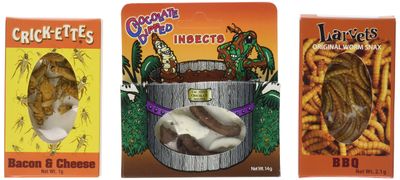 Edible Insects Sampler Pack of 3- Crickets- Bacon &amp; Cheese, Larvets- BBQ &amp; Chocolate Dipped Insects