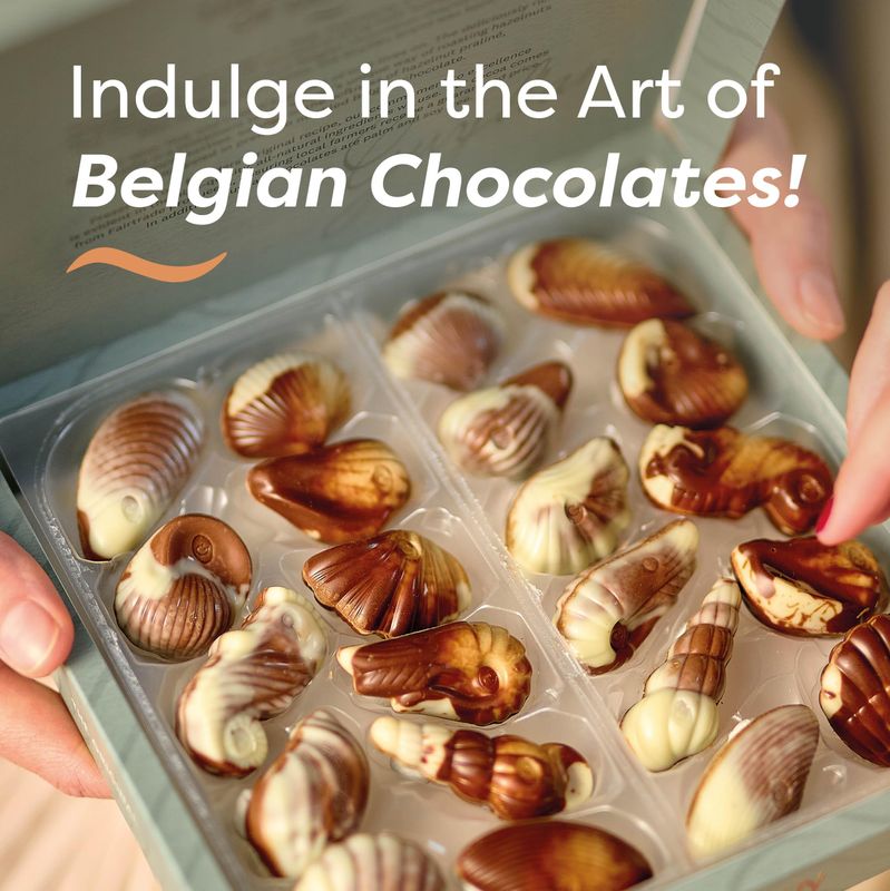 Belgian Chocolate Seashells, 22 Gourmet Hazelnut Praline Truffles by GuyLian, Assorted White, Milk, Dark Chocolate Candy Gift Box for Women and Men