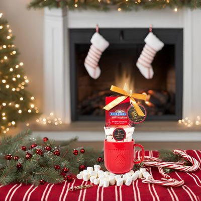 Hot Chocolate Gift Set Made with Ghirardelli, Includes 1 Single-Serve Packet of Ghirardelli Double Chocolate Hot Cocoa Mix, 1 Pack of Mini Marshmallows, and Ceramic Mug, Gourmet Hot Cocoa Gift Set