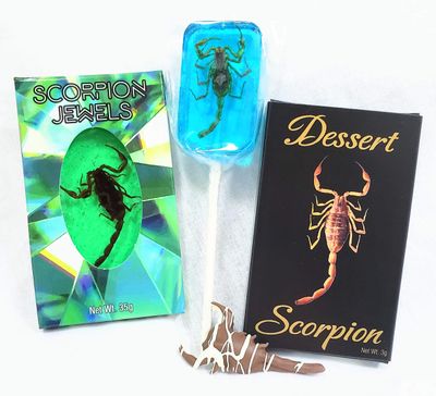 Edible Scorpion Candy Bundle - Pack of 3-1 Chocolate Covered, 1 Candy Jewel, 1 Sucker (Assorted Flavors) - With Licensed Sticker