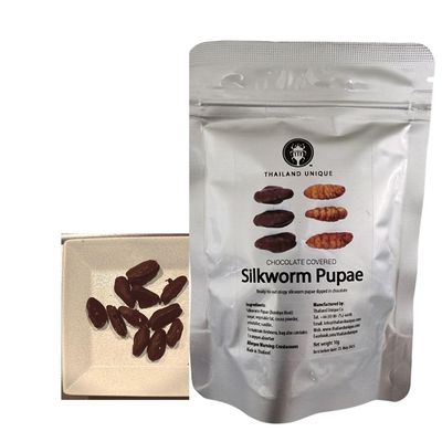 Thailand Unique Chocolate Covered Silkworm Pupae - 10 Gram Bag of Dehydrated Edible Insects for Humans, Nutritious Bugs Superfood Weird Unusual Snack Gift