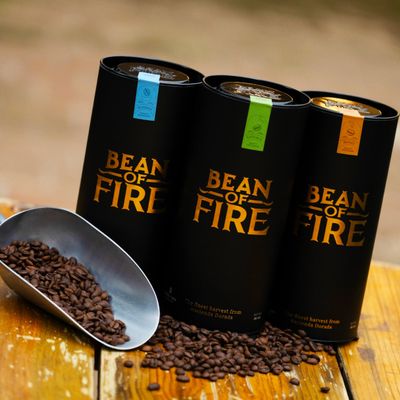 Bean of Fire Kenyan Coffee Natural, 16 oz - Citric Acidity, Floral Aroma, Notes of Chocolate &amp; Spice, Ground Coffee