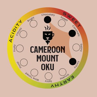 Safari Pride Coffee | Cameroon Mount Oku Premium Single Origin Roast | Smooth Medium Roast with Earthy Caramel Chocolate Notes | Gourmet Sustainable Direct Trade African Coffee | 12 oz Bag | Ground