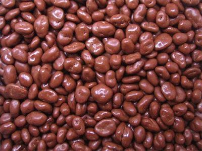 Sugar Free Chocolate Raisins, 3LBS