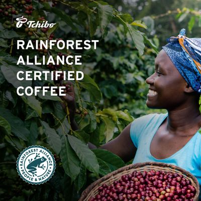 Tchibo Ground Coffee - Rst Frisch Rstmeister - Dark-roasted Arabica Beans with Exquisite Aromas of Bittersweet Chocolate - Intensity 5/6, Acidity 1/6, Roast Level 6/6-12 oz - Pack of 3