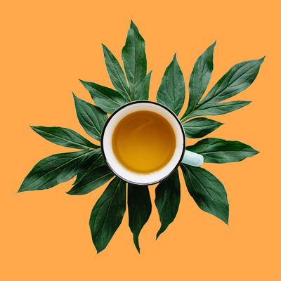 The Spice Hut Organic Chocolate Chai Loose Leaf Tea, 8 oz