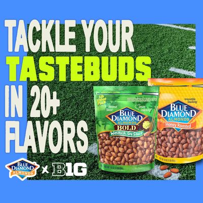 Blue Diamond Almonds, Oven Roasted Dark Chocolate Flavored Snack Nuts Perfect for Snacking, On-the-go, Lunches and More, 40 oz.