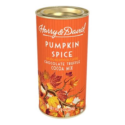 Harry &amp; David Pumpkin Spice Chocolate Truffle Cocoa Mix, 9 Ounce