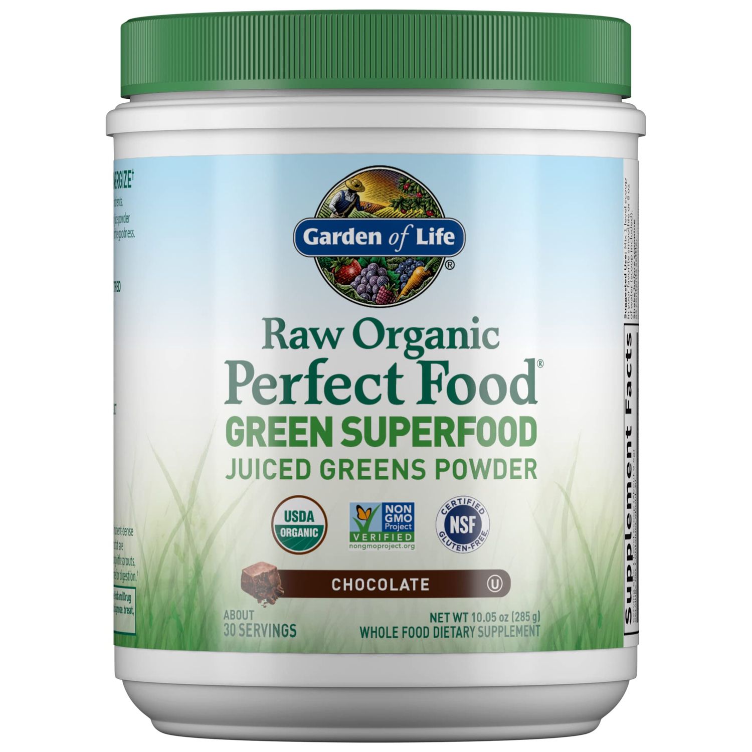 Garden of Life Raw Organic Perfect Food Green Superfood Juiced Greens Powder - Chocolate, 30 Servings (Packaging May Vary)