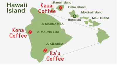 100 Percent Hawaiian Chocolate Macadamia Nut Ground Coffee