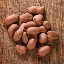 Mascot Nut and Candy Gifts since 1955- (3) 12 oz Bags of Milk Chocolate covered Georgia Pecans