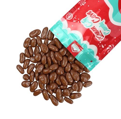 Milk Chocolate Covered Raisins Bulk-Juicy, Plump Milk Chocolate Raisins by Queen City Candy Cave (1 Pound)