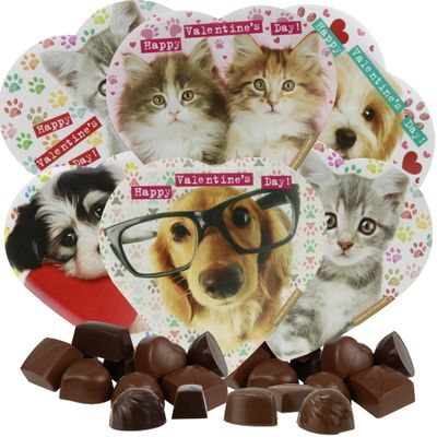 Animal Lovers Valentines Day Chocolate Heart Boxes Bundle, Includes 6 Cat and Dog Assorted Gourmet Gifts, Set of 6
