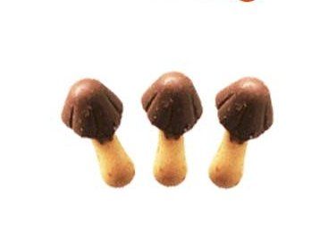 Choco BOY Chocolate Snack -- 50gm X 6 Boxes (Mushroom Shaped Chocolate Topped Mini Biscuits)