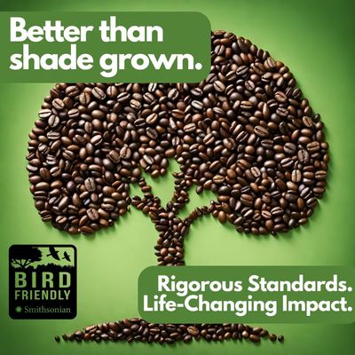 Tomorrow's Coffee Organic, Fair Trade, Shade Grown Whole Bean bird friendly coffee | Dark French Roast with chocolate flavor | Sustains Amazon Rainforest | 1 lb. omnidegradable bags (Ground)
