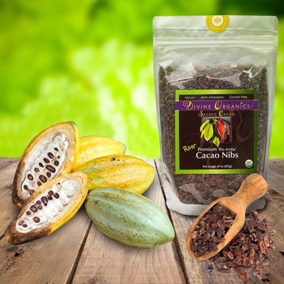 Divine Organics Raw Cacao/Cocoa Nibs - Certified Organic - Premium Rio Arriba - Smoothies, Baking, Snacks, Salads, Trail Mixes - Chocolate Chips Substitute - Rich in Magnesium (16oz)