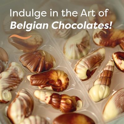 Belgian Dark Chocolate Gift Box, 22 Gourmet Praline Seashells by GuyLian Assorted White, Milk, Dark Chocolate Holiday Candy for Women & Men, 250g