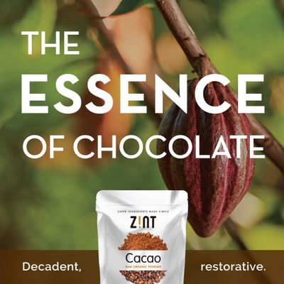 Zint Organic Cacao Powder (8 oz): Paleo-Certified, Organic, Non GMO, Anti Aging Antioxidant Superfood, Gluten Free Cocoa Cacao Beans, Pure Delicious Chocolate Essence