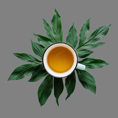 Spicy Chocolate Truffle Black Tea, Loose Leaf Flavored Black Tea, Caffeine, Hot & Iced Tea | 8oz Bulk Tea, 80-100 Cups | The Spice Hut, First Sip of Tea