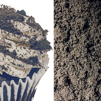 Edible Brown Chocolate Dirt Muddy Sand Crumbed Earth Themed Powder for Construction Halloween Spooky themed Cake &amp; Cupcake Decoration