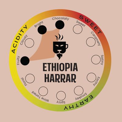 Safari Pride Coffee | Ethiopian Harrar Premium Single Origin Roast | Smooth Medium Roast with Bright Fruity Chocolate Notes | Gourmet Sustainable Direct Trade African Coffee | 12 oz Bag | Whole Bean