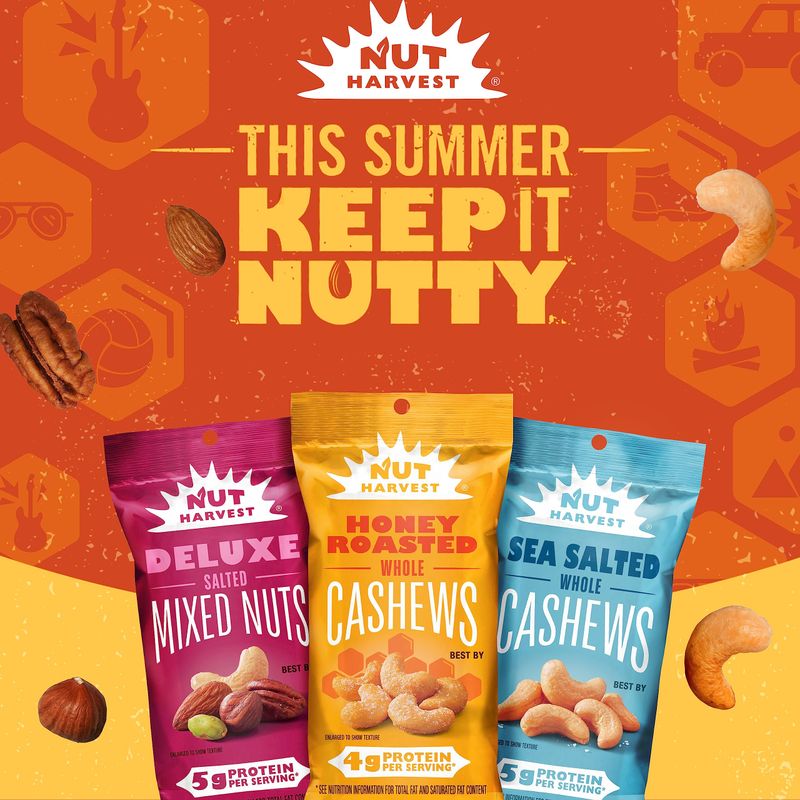 Nut Harvest, Nut &amp; Chocolate Mix, 2.25 Ounce (Pack of 16)
