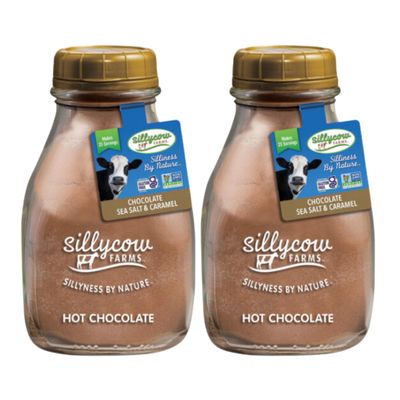 Sillycow Farms Hot Chocolate Sea Salt &amp; Caramel Rich Chocolate Powder Delight Gluten Free Non GMO Dairy Free Indulgence with Pure Sweet Caramel Flavor Reusable Packaging 16.9 oz Glass Bottle Pack of 2