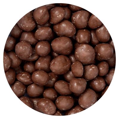 Milk Chocolate Covered Peanuts, 1 Pound Bulk Bag, Chocolate Covered Nuts, The Hampton Popcorn &amp; Candy Company