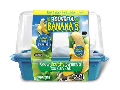 Grow Your Own Bananas - Indoor Banana Growing Kit - Cultivate Edible Mini Bananas at Home - Plants Grow up to 1 Foot per Month - Easy  Fun for All Ages