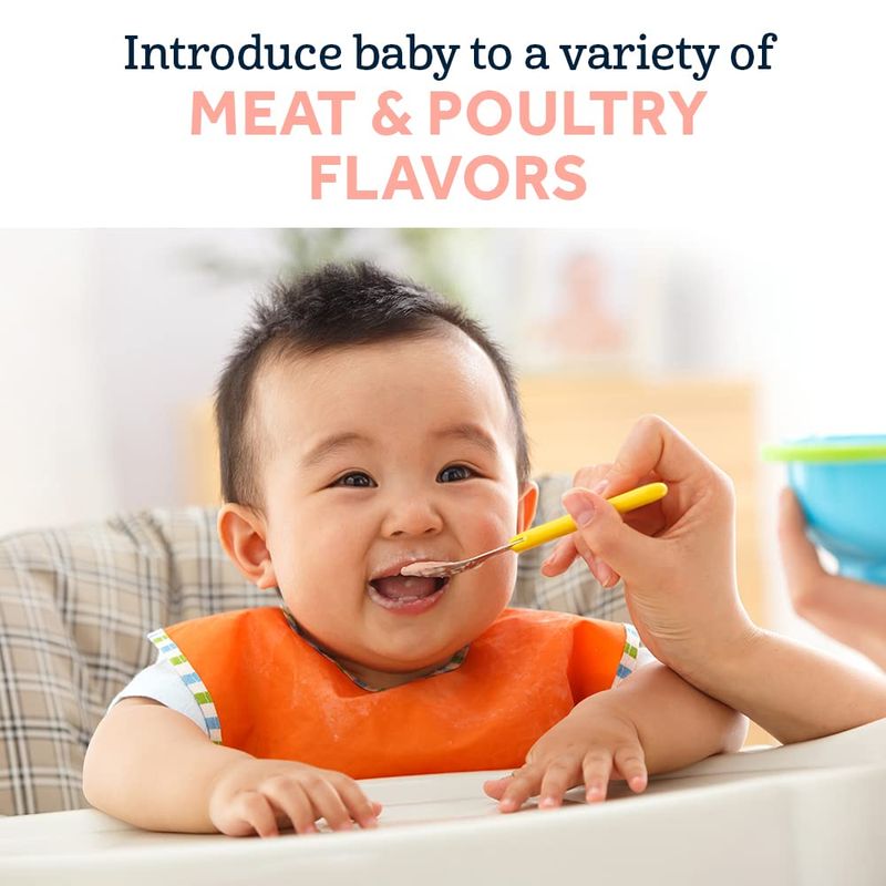Gerber Baby Foods 2nd Foods Meat, Chicken  Gravy, Mealtime for Baby, 2.5 Ounce Jar (Pack of 10)